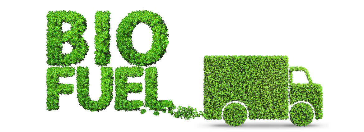 Fatsgreen Bio Energy 