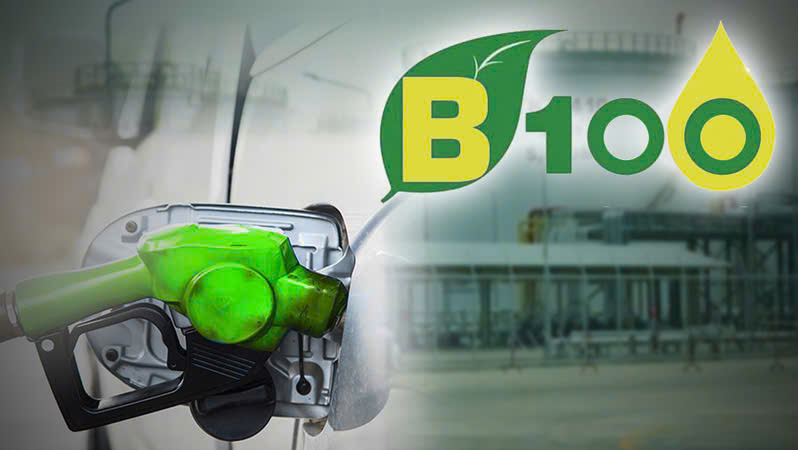 Biodiesel Production